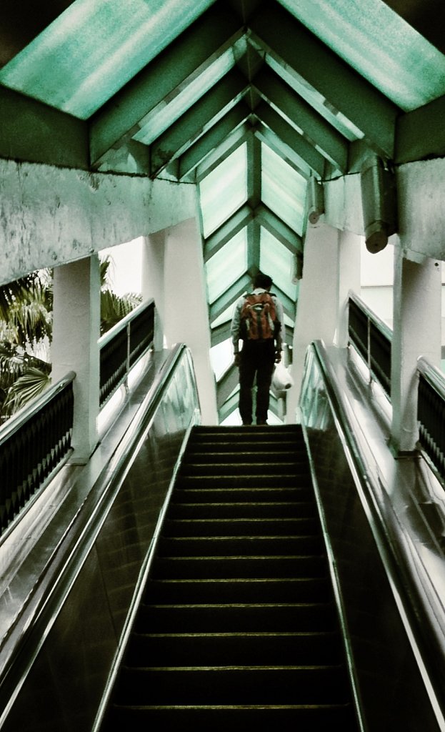 Up-the-Escalators-Alone.JPG